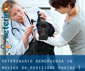 Veterinario d'Emergenza in Rovigo da posizione - pagina 1