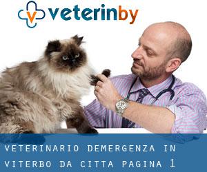 Veterinario d'Emergenza in Viterbo da città - pagina 1