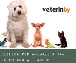Clinica per animali a San Colombano al Lambro