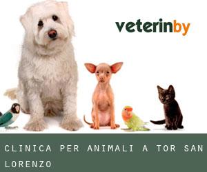 Clinica per animali a Tor San Lorenzo
