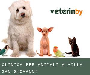 Clinica per animali a Villa San Giovanni