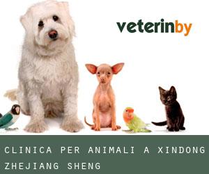 Clinica per animali a Xindong (Zhejiang Sheng)