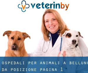 ospedali per animali a Belluno da posizione - pagina 1