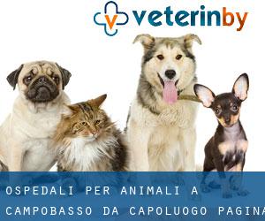 ospedali per animali a Campobasso da capoluogo - pagina 1