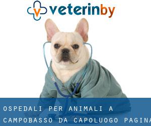 ospedali per animali a Campobasso da capoluogo - pagina 2