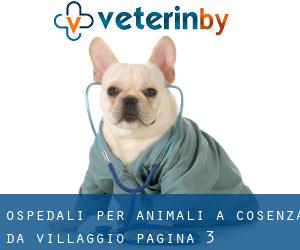 ospedali per animali a Cosenza da villaggio - pagina 3