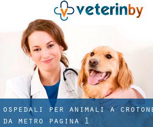 ospedali per animali a Crotone da metro - pagina 1