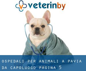 ospedali per animali a Pavia da capoluogo - pagina 5