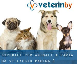 ospedali per animali a Pavia da villaggio - pagina 1