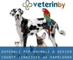 ospedali per animali a Sevier County Tennessee da capoluogo - pagina 1