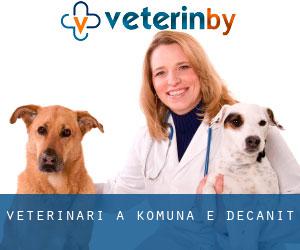 veterinari a Komuna e Deçanit