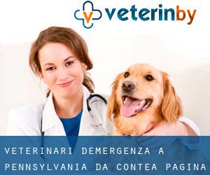 veterinari d'emergenza a Pennsylvania da Contea - pagina 2
