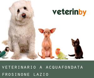 veterinario a Acquafondata (Frosinone, Lazio)