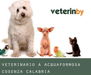 veterinario a Acquaformosa (Cosenza, Calabria)