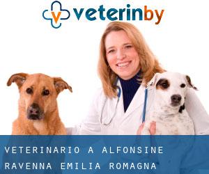 veterinario a Alfonsine (Ravenna, Emilia-Romagna)