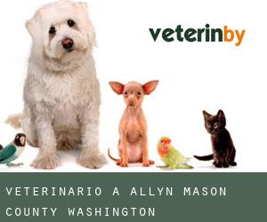 veterinario a Allyn (Mason County, Washington)