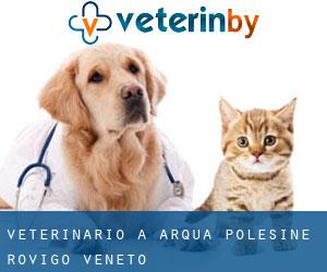 veterinario a Arquà Polesine (Rovigo, Veneto)
