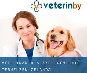 veterinario a Axel (Gemeente Terneuzen, Zelanda)