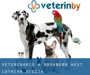 veterinario a Broxburn (West Lothian, Scozia)