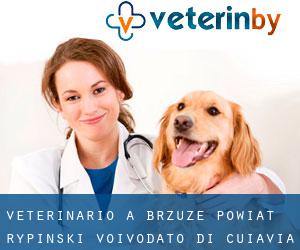 veterinario a Brzuze (Powiat rypiński, Voivodato di Cuiavia-Pomerania)