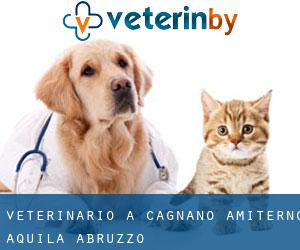 veterinario a Cagnano Amiterno (Aquila, Abruzzo)
