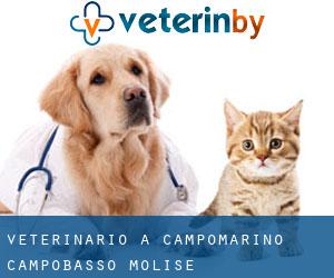veterinario a Campomarino (Campobasso, Molise)