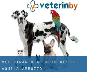 veterinario a Capistrello (Aquila, Abruzzo)