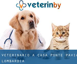 veterinario a Casa Ponte (Pavia, Lombardia)