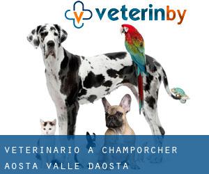 veterinario a Champorcher (Aosta, Valle d’Aosta)