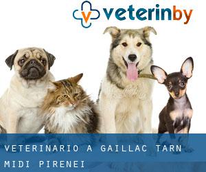 veterinario a Gaillac (Tarn, Midi-Pirenei)