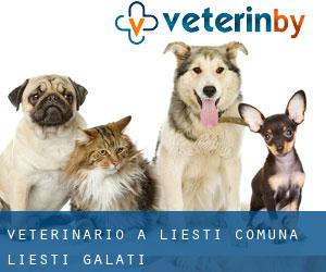veterinario a Lieşti (Comuna Lieşti, Galaţi)