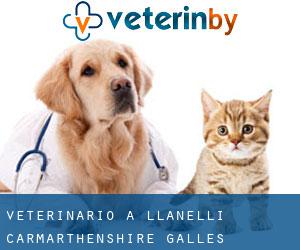 veterinario a Llanelli (Carmarthenshire, Galles)