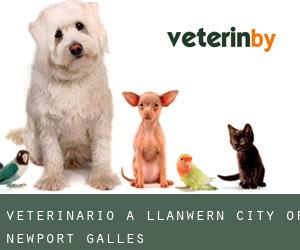 veterinario a Llanwern (City of Newport, Galles)