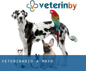 veterinario a Mayo