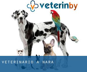 veterinario a Nara