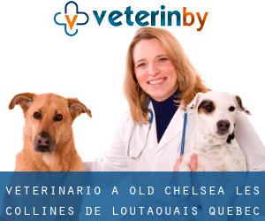 veterinario a Old Chelsea (Les Collines-de-l'Outaouais, Quebec)