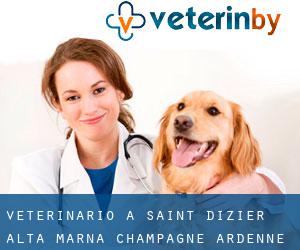 veterinario a Saint-Dizier (Alta Marna, Champagne-Ardenne)