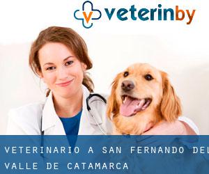 veterinario a San Fernando del Valle de Catamarca