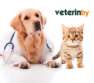 veterinari a Lombardia