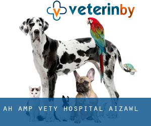 A.H & Vety Hospital (Aizawl)