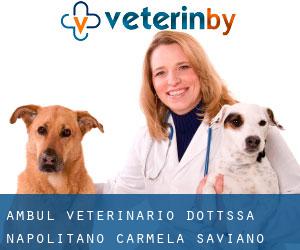 Ambul Veterinario Dott.Ssa Napolitano Carmela (Saviano)