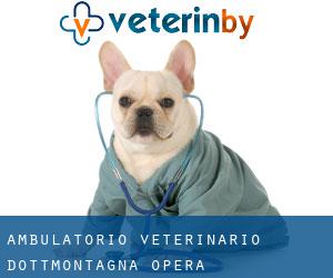 Ambulatorio Veterinario dott.Montagna (Opera)