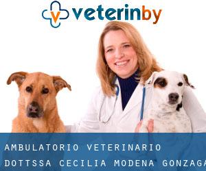 Ambulatorio Veterinario Dott.ssa Cecilia Modena (Gonzaga)