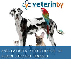 Ambulatorio veterinario dr. Ruben Leccese (Foggia)