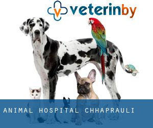 Animal Hospital (Chhaprauli)