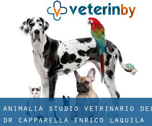 Animalia Studio Vetrinario Del Dr. Capparella Enrico (L'Aquila)