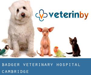 Badger Veterinary Hospital Cambridge