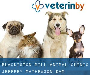 Blackiston Mill Animal Clinic: Jeffrey Mathewson DVM (Blackiston Village)