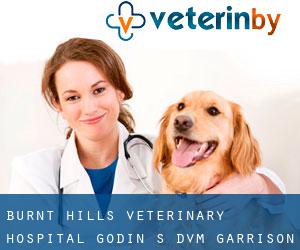 Burnt Hills Veterinary Hospital: Godin S DVM (Garrison Manor)