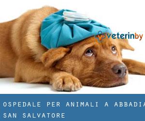 Ospedale per animali a Abbadia San Salvatore